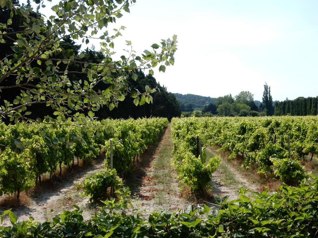 Domaine De Blanche Fleur Hotel Chateauneuf-de-Gadagne ภายนอก รูปภาพ